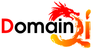 Domain Qi Logo